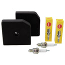 Wartungssatz für den ENDRESS Inverter-Stromerzeuger 'ESE 2100i' bestehend aus zwei Luftfiltern (links) und zwei NGK-Zündkerzen (rechts).